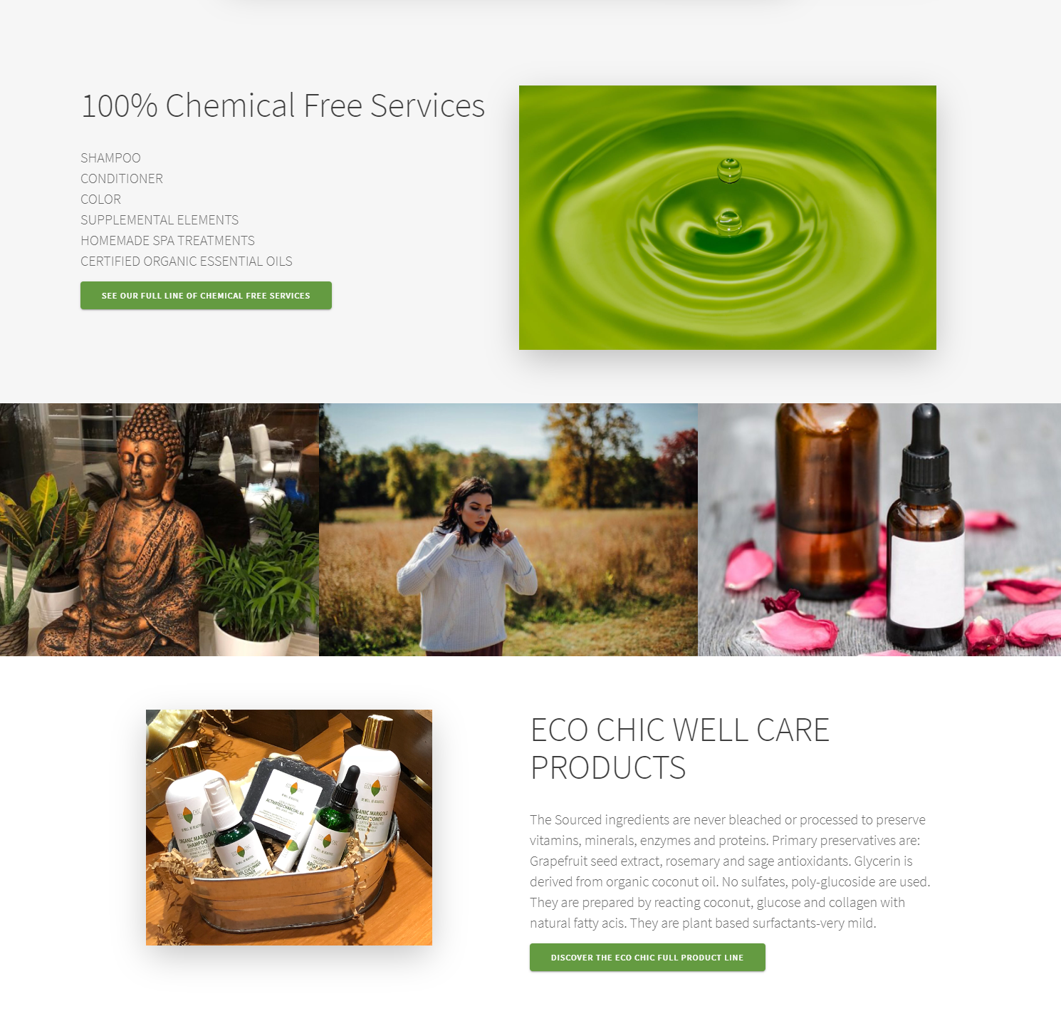 Eco Chic Salon CT Splash Page Product Focus