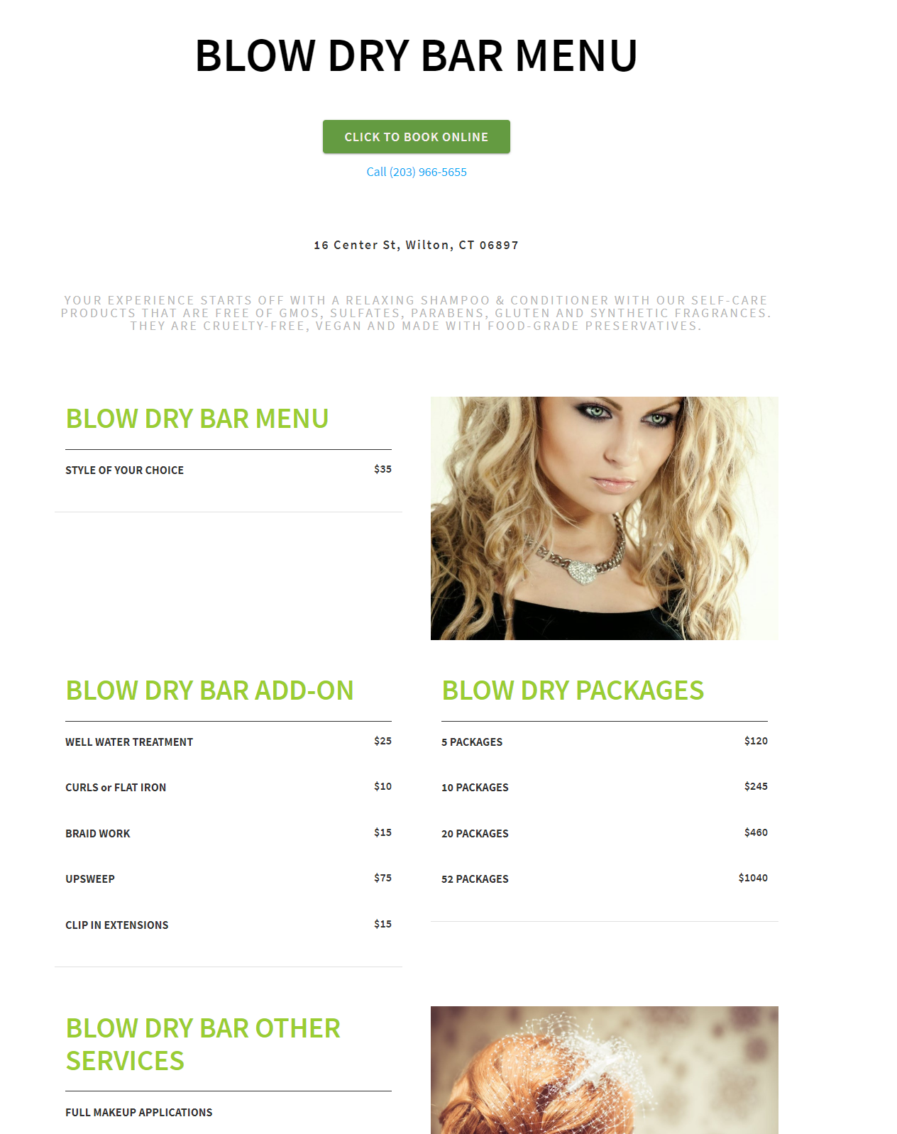 Eco Chic Salon Blow Dry Menu